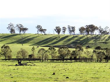 Afternoon acroos the hills, New South Wales, Australia